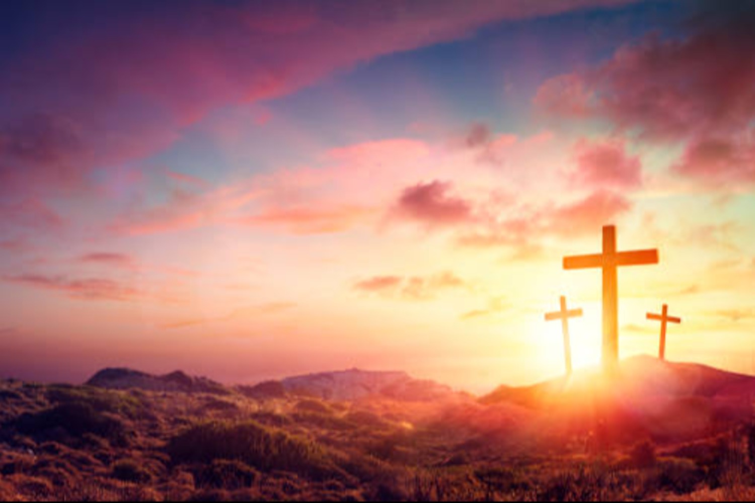 blog-7
